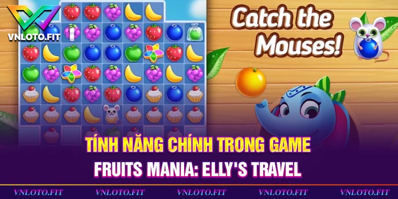 Tính năng chính trong game Fruits Mania: Elly's Travel