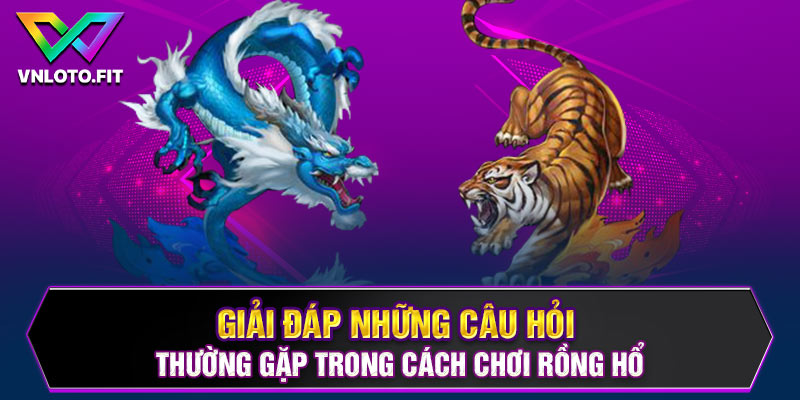 Giải đáp những câu hỏi thường gặp trong cách chơi rồng hổ  