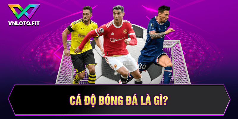 Cá độ bóng đá là gì? 